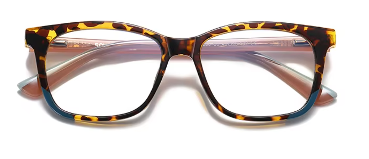 Amsterdam glasses in Tortoiseshell — front view