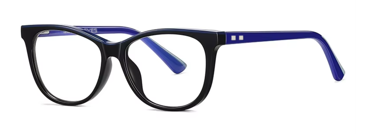Paris glasses in Black/Blue — angled view